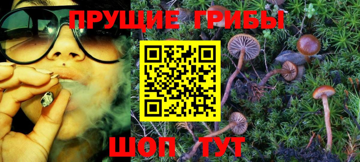 Галлюциногенные грибы Magic Shrooms Междуреченск