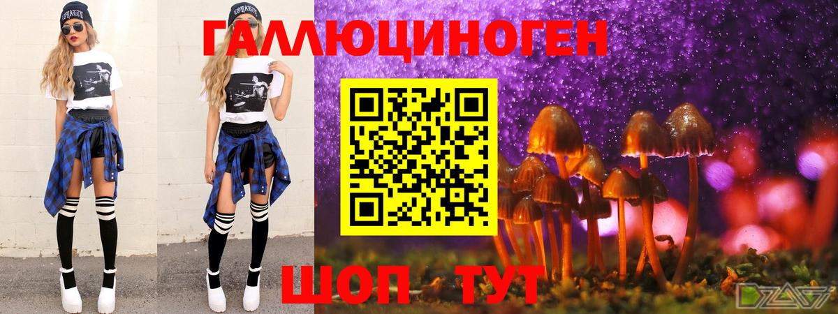 Междуреченск  Псилоцибиновые грибы Psilocybine cubensis  Вход с VPN 